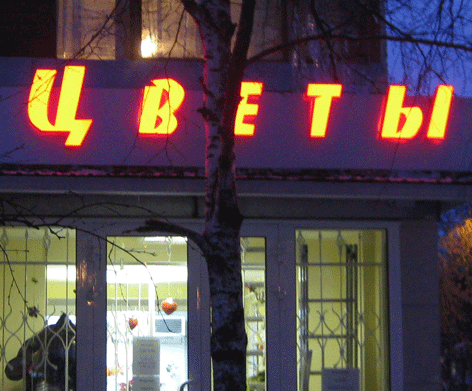 Световые буквы магазина "Цветы" на пр. Ленина